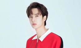 娱乐大爆料成毅玫可菲,娱乐大爆料背后的甜蜜故事